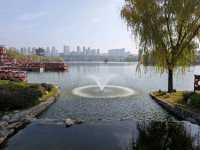 Tang Paradise: A Must-See Day & Night Experience in Xi'an