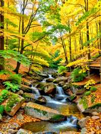 甘肅私藏！天水才是絲路真寶藏，彩林+千年人文美到失語