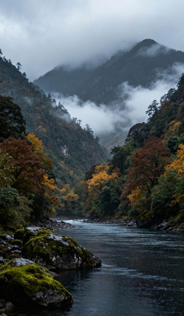 11月怒江封神!這個邊境秘境野到骨子裡,比大理麗江清靜10倍 11月怒江封神!這個邊境秘境野到骨子裡,比大理麗江清靜10倍