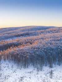 冬季5天玩透呼倫貝爾這篇攻略夠夠的