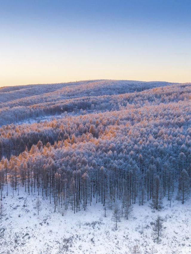 冬季5天玩透呼倫貝爾這篇攻略夠夠的