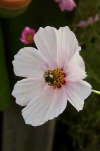 離天空很近的世外桃源小村莊