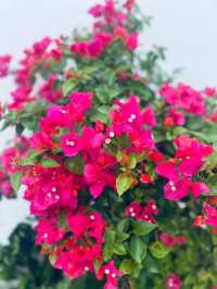 福州平潭島浪漫打卡攻略漫步愛情島邂逅最美轉角