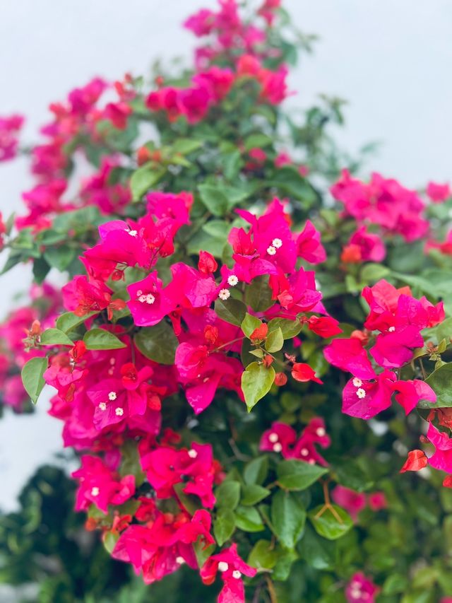 福州平潭島浪漫打卡攻略漫步愛情島邂逅最美轉角