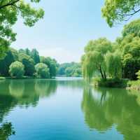 開啟這場浪漫的廈門之旅吧