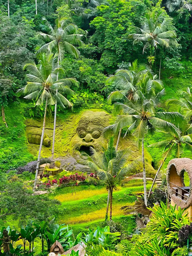 Ubud Rice Terrace Hiking Guide