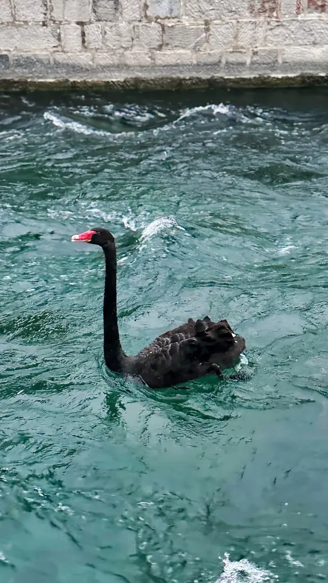輝縣百泉湖 | 泉水復湧的江南夢境
