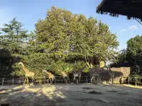 謝謝上野送的生日禮物~今天的快樂是免費哒