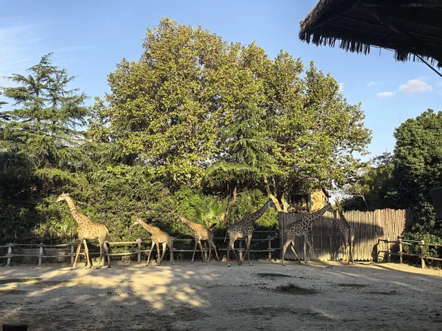 謝謝上野送的生日禮物~今天的快樂是免費哒 謝謝上野送的生日禮物~今天的快樂是免費哒