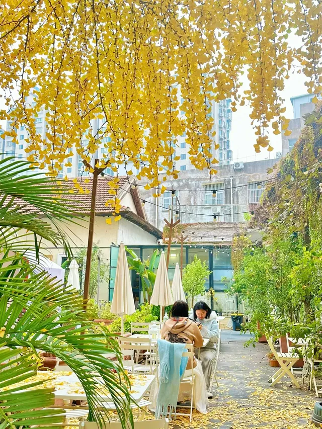 徐州聖誕氛圍感天花板！90%人不知道