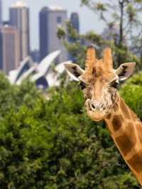 包車遊澳一篇解鎖所有寶藏地