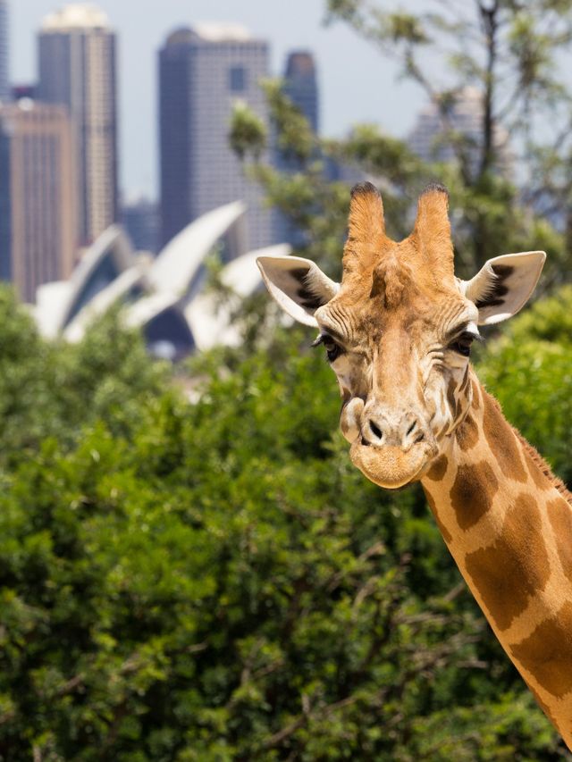 包車遊澳一篇解鎖所有寶藏地 包車遊澳一篇解鎖所有寶藏地