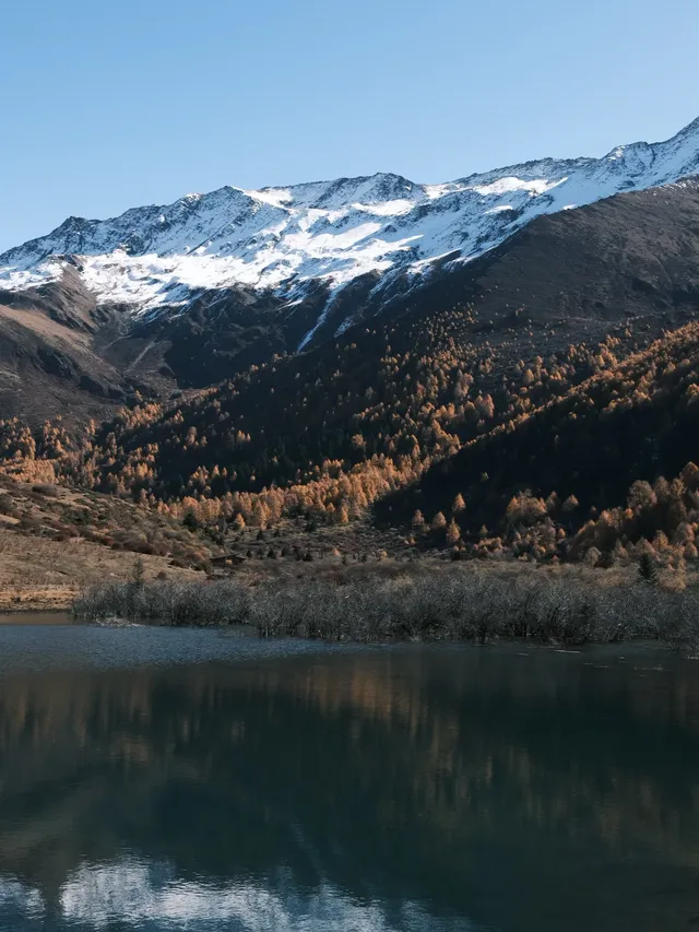 四姑娘山|此刻,追到了川西的絕美秋景! 四姑娘山|此刻,追到了川西的絕美秋景!