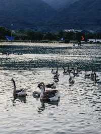 肇慶寶藏露營地！SOUL營躺平也太爽了吧