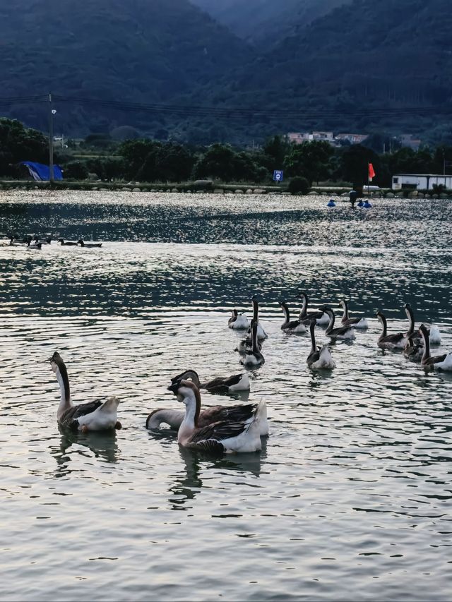 肇慶寶藏露營地！SOUL營躺平也太爽了吧