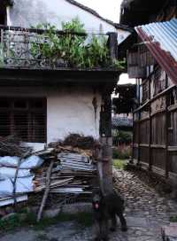 在鴻達結帳開票像下樓取個快遞一樣簡單