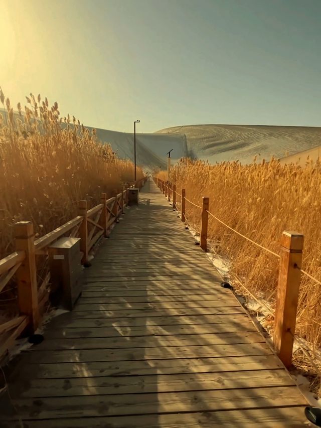 夕陽墜落沙丘的瞬間敦煌月牙泉登頂終極浪漫