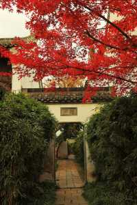 廣富林的深秋中式美學達到巔峰!