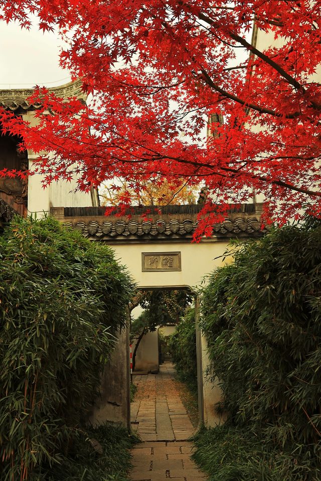 廣富林的深秋中式美學達到巔峰! 廣富林的深秋中式美學達到巔峰!