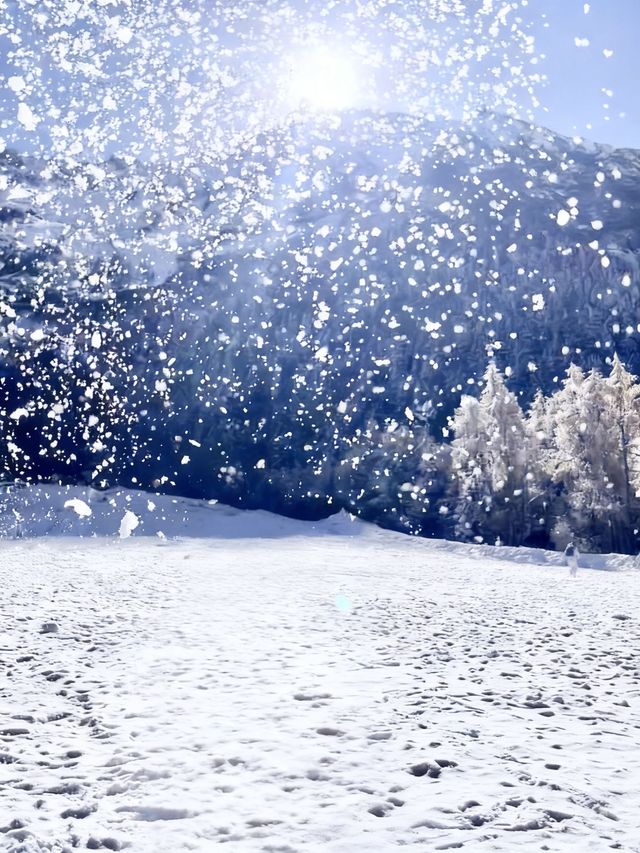 別只夏天去九寨溝，冬天才是靈魂暴擊