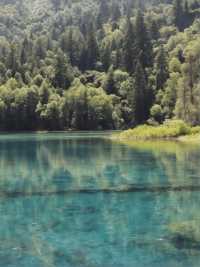 冬天必衝成都包車遊超安逸