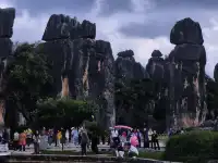 不上班，去昆明追風