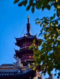 古剎追秋|北宋古寺、銀杏還有貓貓誰說秋意只在枝頭?