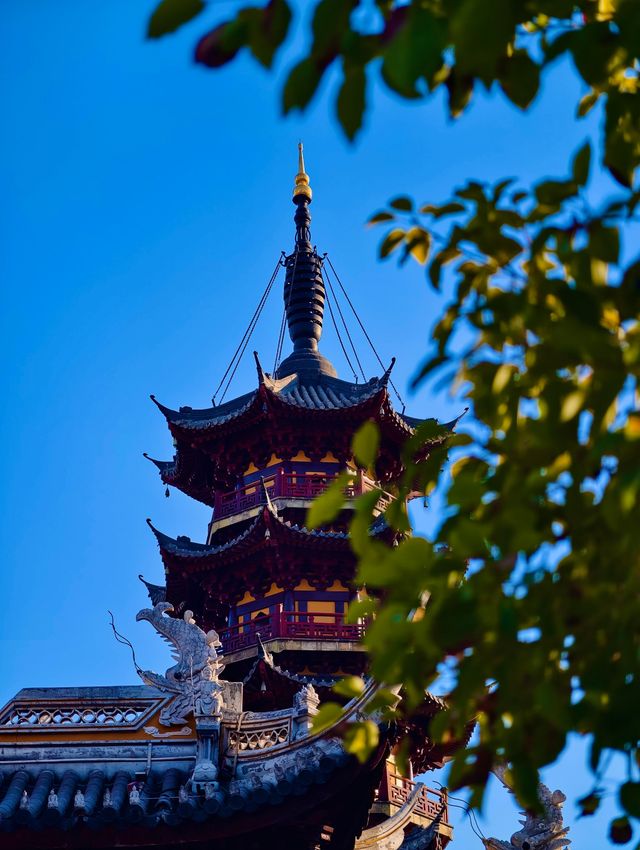 古剎追秋|北宋古寺、銀杏還有貓貓誰說秋意只在枝頭? 古剎追秋|北宋古寺、銀杏還有貓貓誰說秋意只在枝頭?