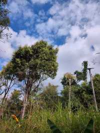 普洱山野漫步這片秘境藏滿了治癒系風景