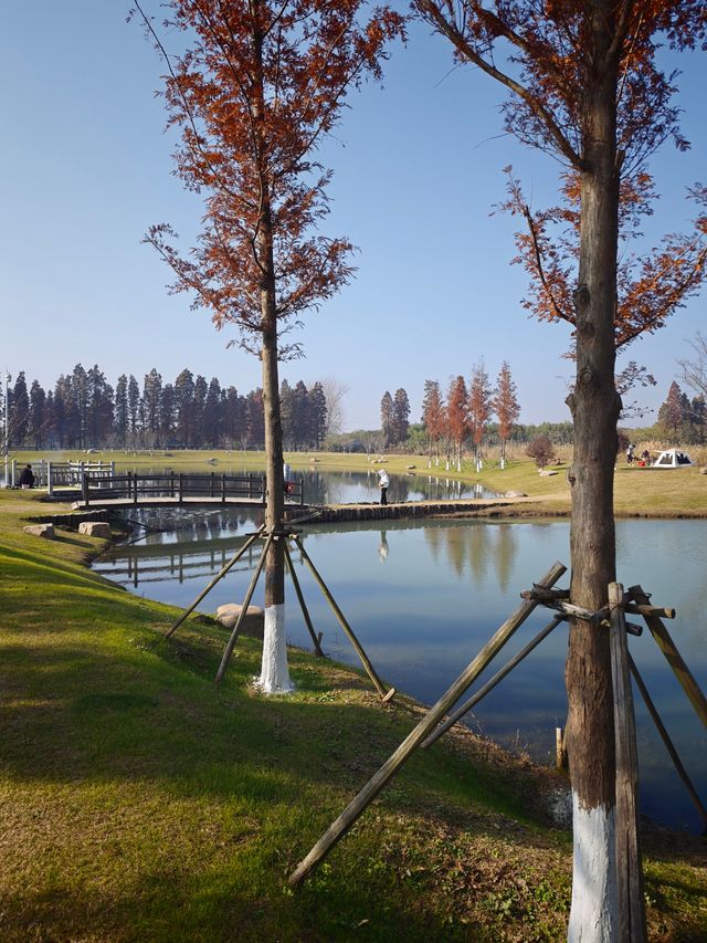 太湖綠地公園 太湖綠地公園