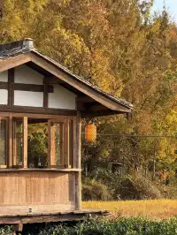 皖南賞秋|安徽四天三晚遊分享