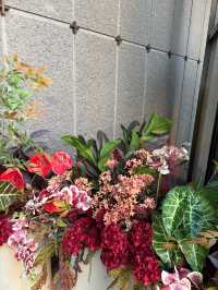 瀋陽親子遊住對酒店=躺贏豪澤希芮迪太香了！