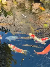 南京兩日遊攻略，只要49.9拒絕暴走斷腿！