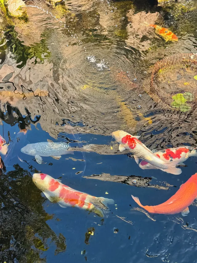 南京兩日遊攻略，只要49.9拒絕暴走斷腿！