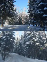 喀納斯自駕旅遊攻略11.25實況live