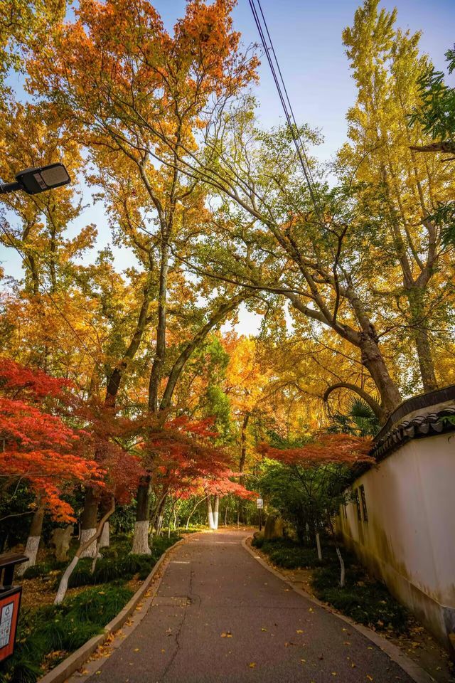 上海1小時直達,虞山真的太香了! 上海1小時直達,虞山真的太香了!