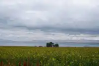 寧夏青海線Day3|闖入青海湖的藍眼淚