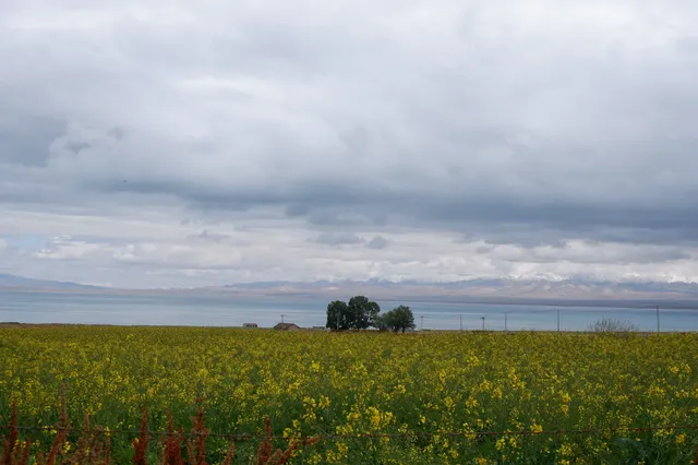 寧夏青海線Day3|闖入青海湖的藍眼淚 寧夏青海線Day3|闖入青海湖的藍眼淚