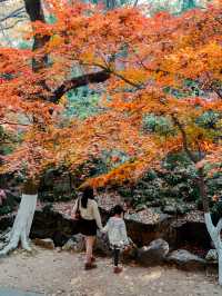 虞山秋日限定常熟紅葉美翻了丨附機位