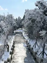 廣東人狂喜!成功在衡山追到初雪(附攻略