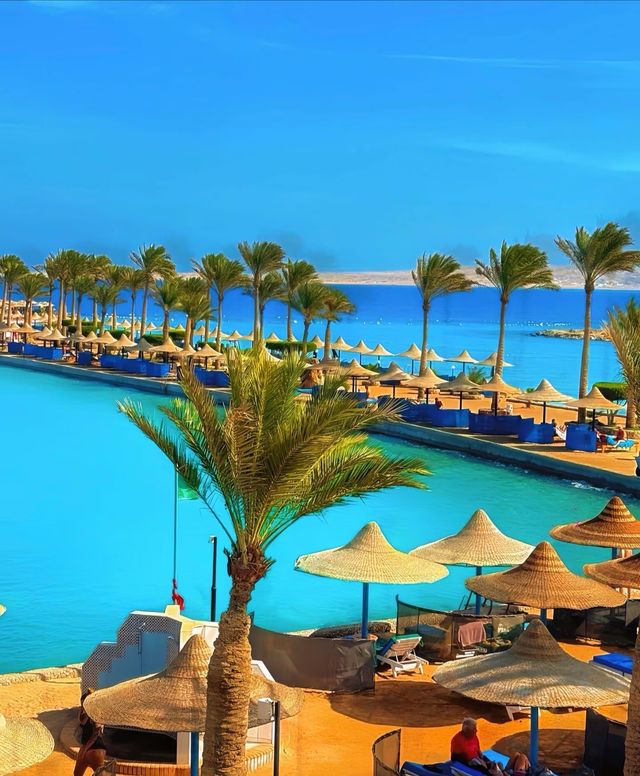 埃及紅海全包酒店天花板!這性價比絕了 埃及紅海全包酒店天花板!這性價比絕了