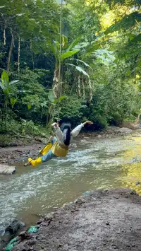 版納雨林徒步 ｜和世界失聯的四小時