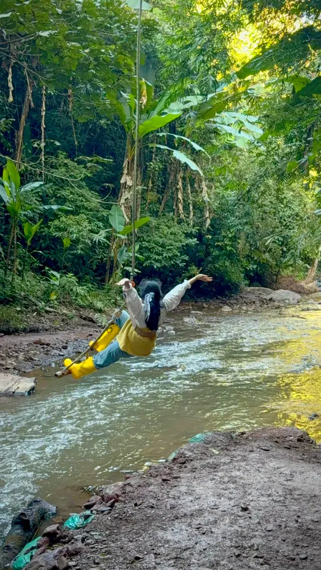 版納雨林徒步 ｜和世界失聯的四小時