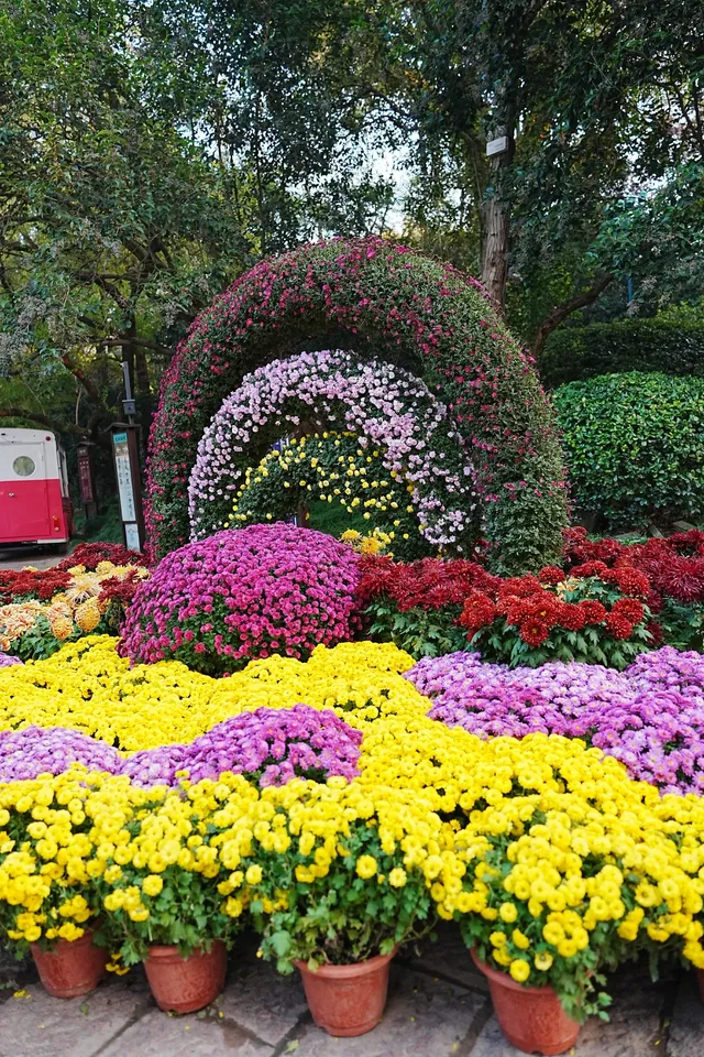 瘦西湖的秋 瘦西湖的秋