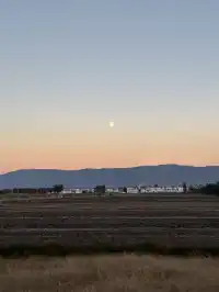 12月的洱海邊,彩林和海鷗也太配了吧