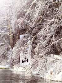 12月-2月長白山西坡怎麼玩?這篇攻略教會你!