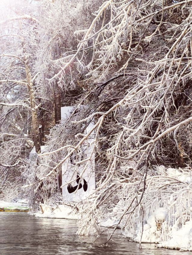 12月-2月長白山西坡怎麼玩?這篇攻略教會你! 12月-2月長白山西坡怎麼玩?這篇攻略教會你!