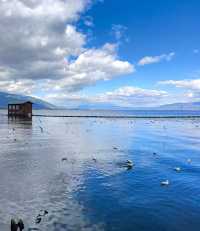 雲南,一生總要去一次!超全旅行攻略請查收!