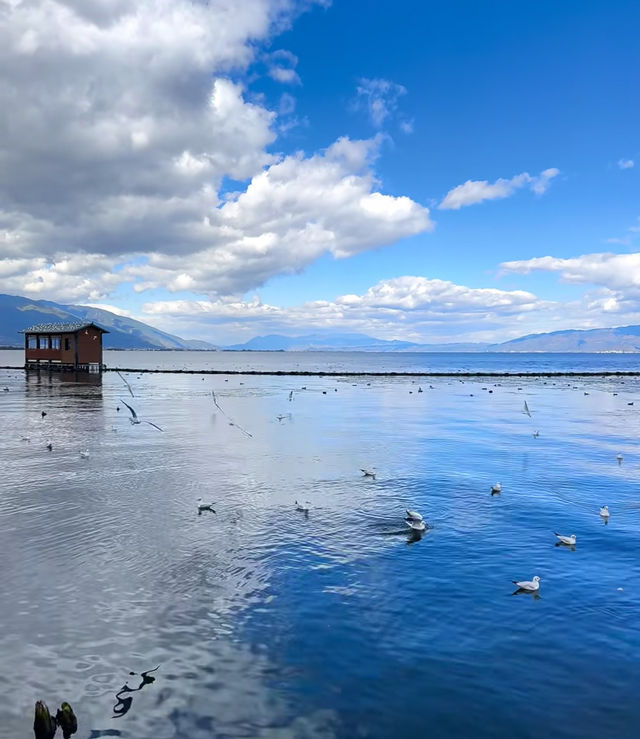雲南,一生總要去一次!超全旅行攻略請查收! 雲南,一生總要去一次!超全旅行攻略請查收!