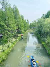 魔都新打卡點！浦江郊野公園叢林探險全攻略